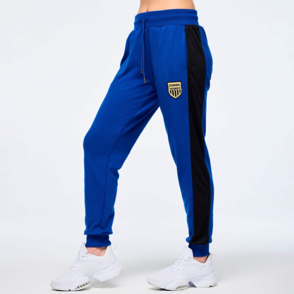 Victory Sweatpants With Mesh Side Inserts - Image 2