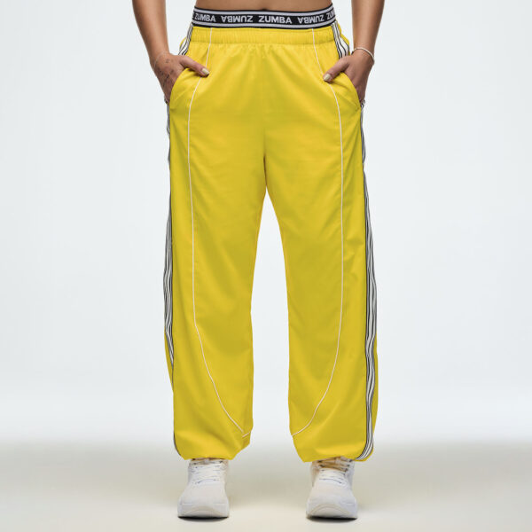 ZW Double Waisted Slouch Woven Pants