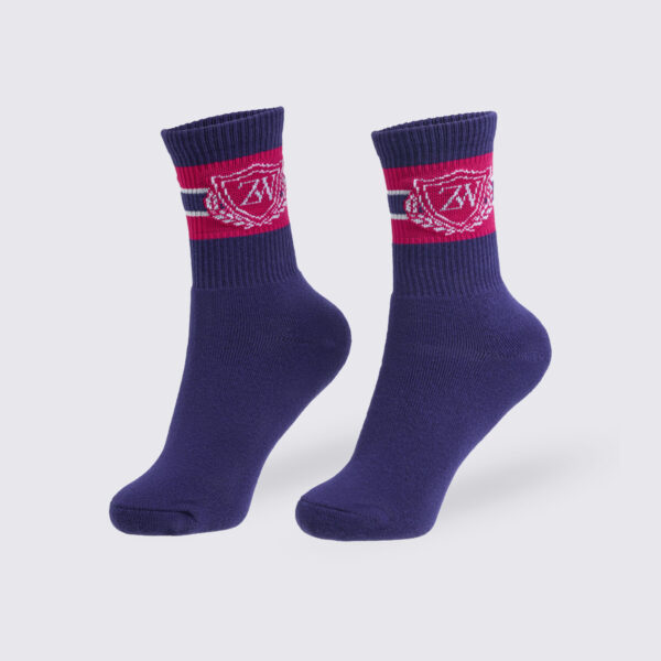 Class of 2001 Plush Half Crew Sock - Image 3